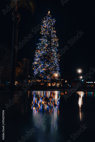 Coronado California City Christmas Tree at night