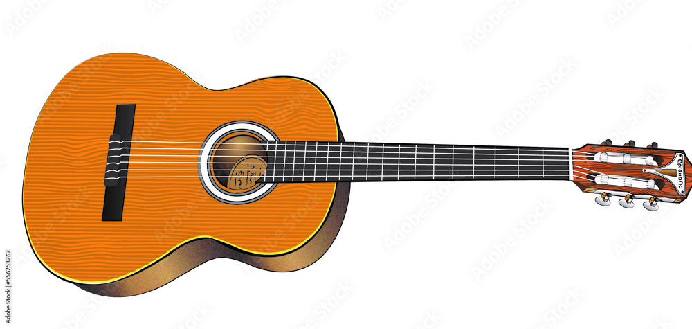 two-dimensional image of a guitar in front view on a white background