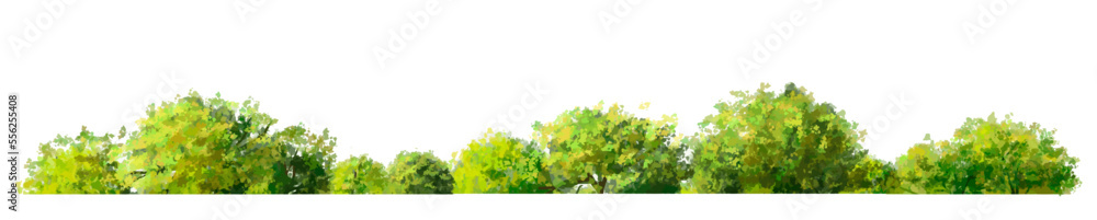 abstract Vector watercolor of tree isolated on white background for landscape and architecture drawing, elements for environment and garden, botanical for section and elevation or layout 