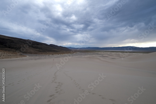 Le site de Sand Dunes sur la Highway 50 aux USA