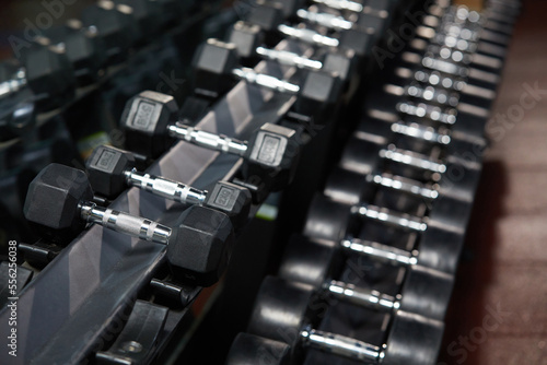 rows of dumbbells on rack in the gym