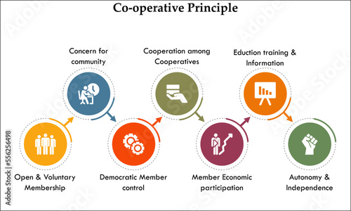 Cooperative principle with icons in an infographic template