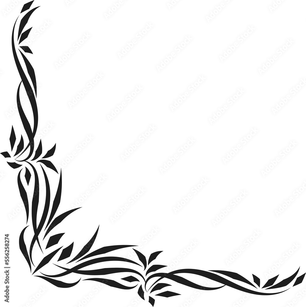 Obraz premium Decorative elements, border line illustration