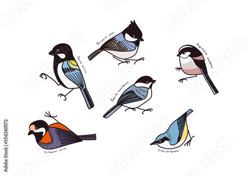 little birds