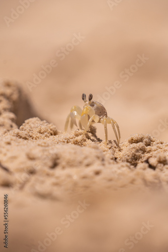 Urlaub, Australien, Pazifik, Natur , Sonne, Strand