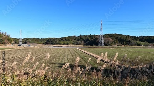 冬の田んぼ