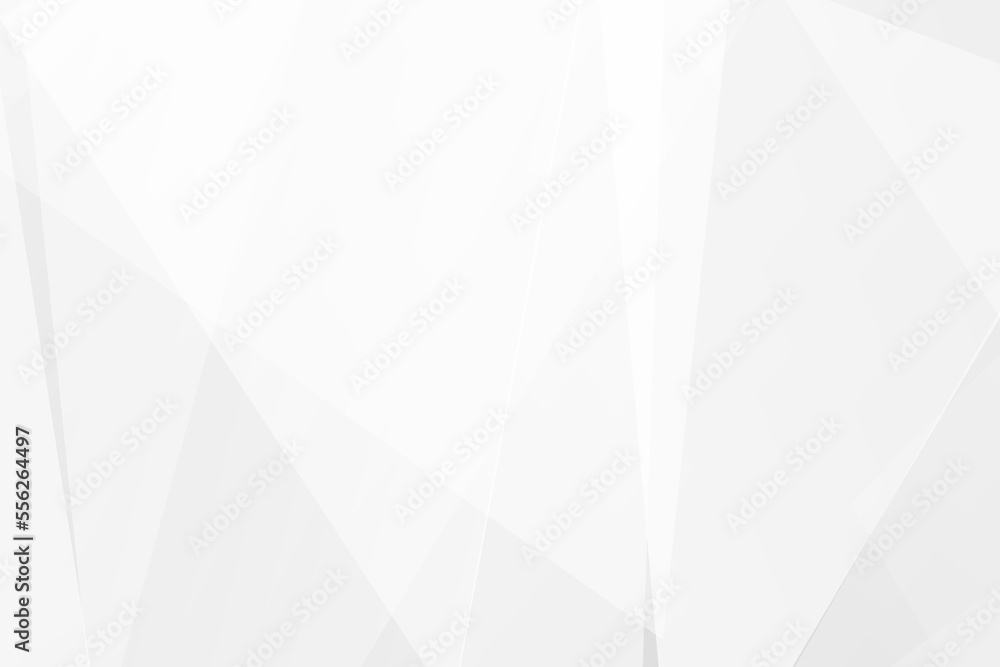 Abstract white and grey on light silver background modern design. Vector illustration EPS 10.