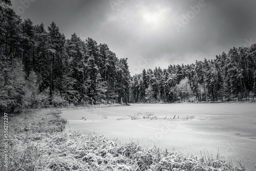 Fototapeta Naklejka Na Ścianę i Meble -  Czarno-biała zima nad jeziorem