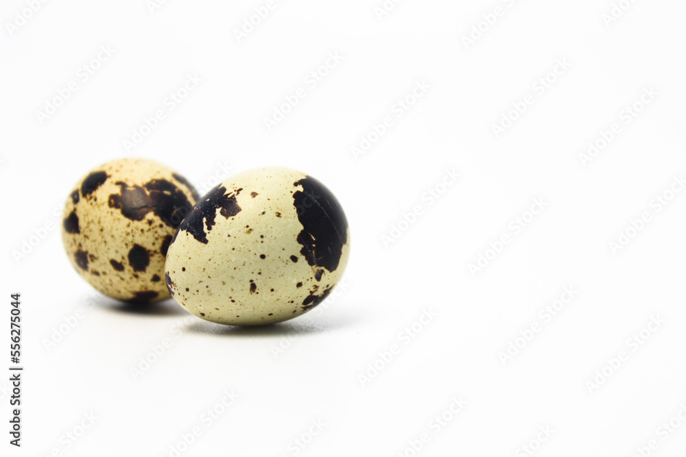 Quail Eggs Kissing Each Other, Pareidolia Effect on Quail eggs. Isolated on White. Right copy space Quail Eggs Kissing Each Other, Pareidolia Effect on Quail eggs. Isolated on White. Right copy space