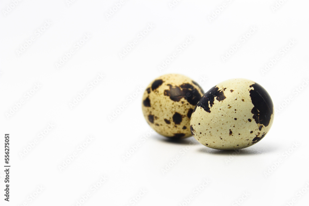 Quail Eggs Kissing Each Other, Pareidolia Effect on Quail eggs. Left Copy Space Quail Eggs Kissing Each Other, Pareidolia Effect on Quail eggs. Left Copy Space