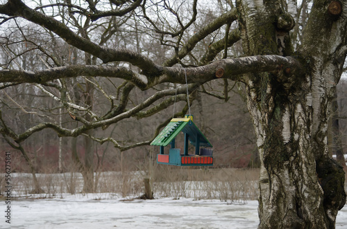 The beautiful bird house on a branch in a winter park