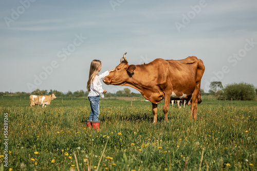 Photography Cute little girl stroking a big horned cow, Farmer children family in green fiel