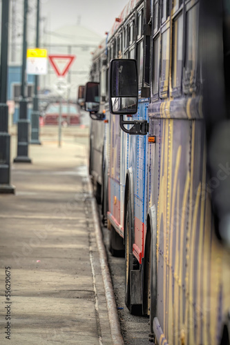 Shallow focus on a mirror of a row of busses with colored graffiti