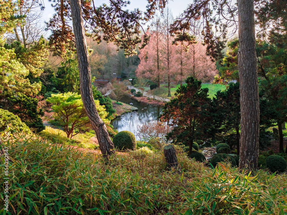 Fototapeta premium Traditional Japanese Garden,Beautiful calm scene in Fall Season
