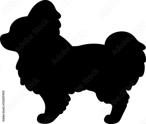 Simple and cute silhouette of Papillon in side view
