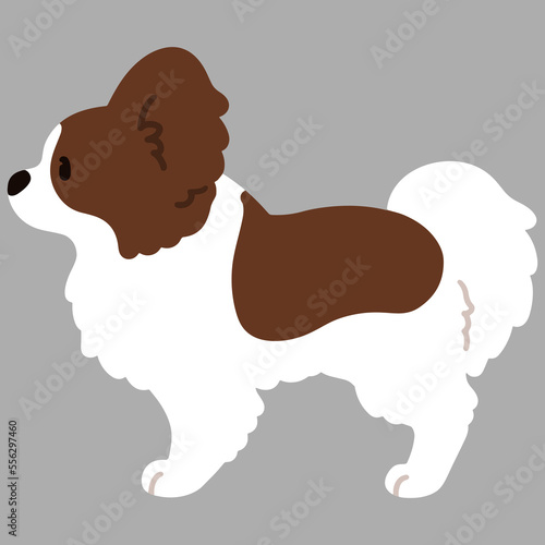 Simple and cute illustration of Papillon in side view flat colored