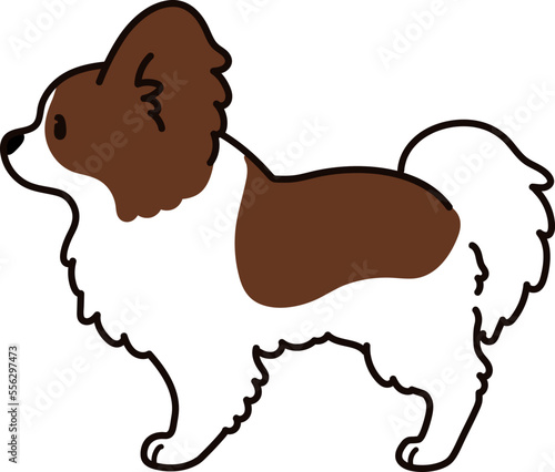 Simple and cute illustration of Papillon in side view