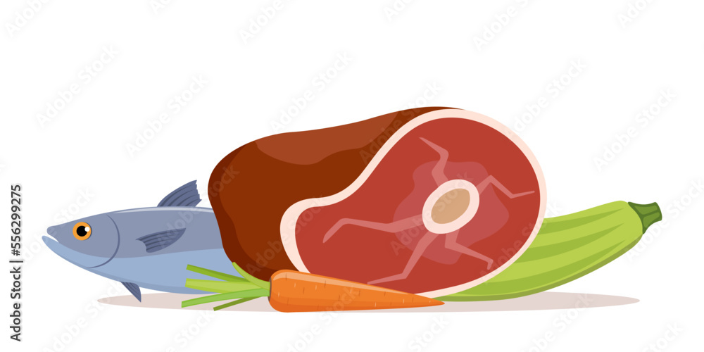 Vegetables, meat, fish. Fresh Red Raw Meat, carrots, zucchini. Healthy products. Organic food from the farm. Vector flat illustration. Vegetables, meat, fish. Fresh Red Raw Meat, carrots, zucchini. Healthy products. Organic food from the farm. Vector flat illustration.