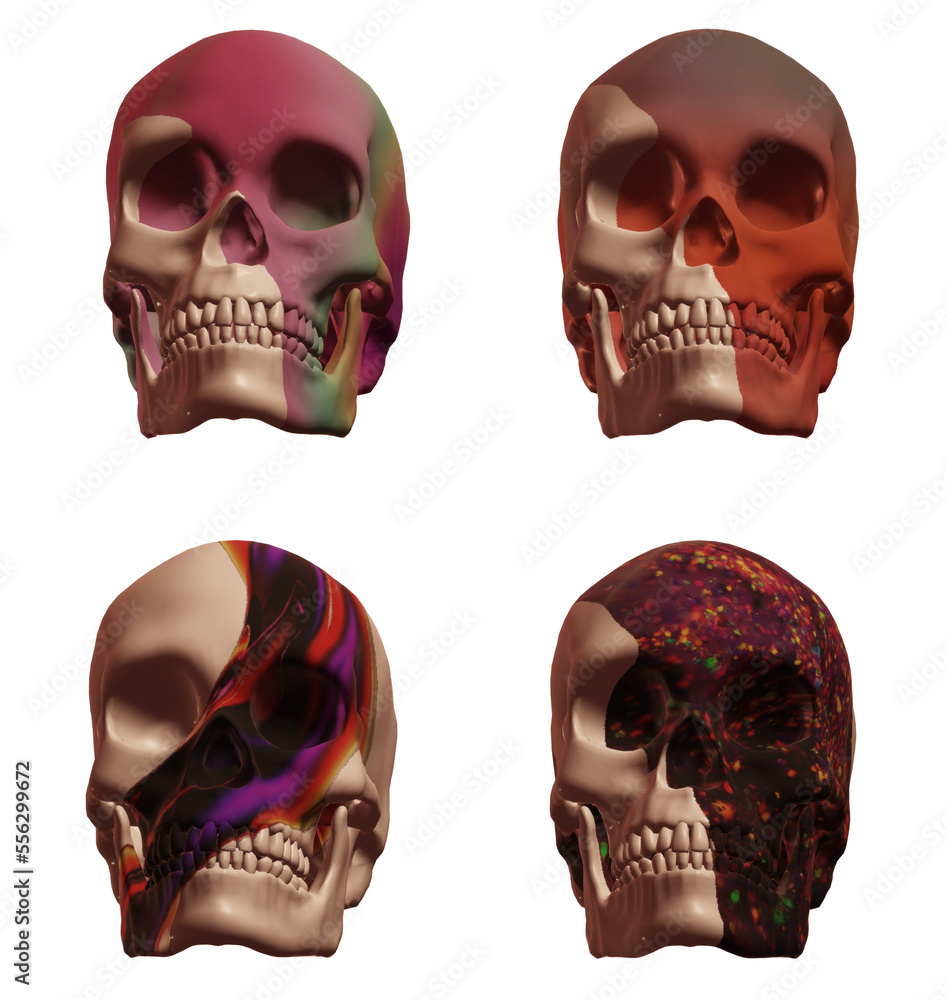 human skull human skull
