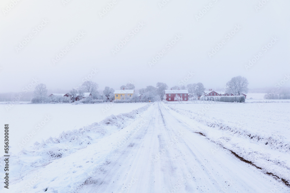 Country road landscape in a frosty and snowy christmas day Country road landscape in a frosty and snowy christmas day
