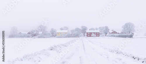 Country road landscape in a frosty and snowy christmas day 