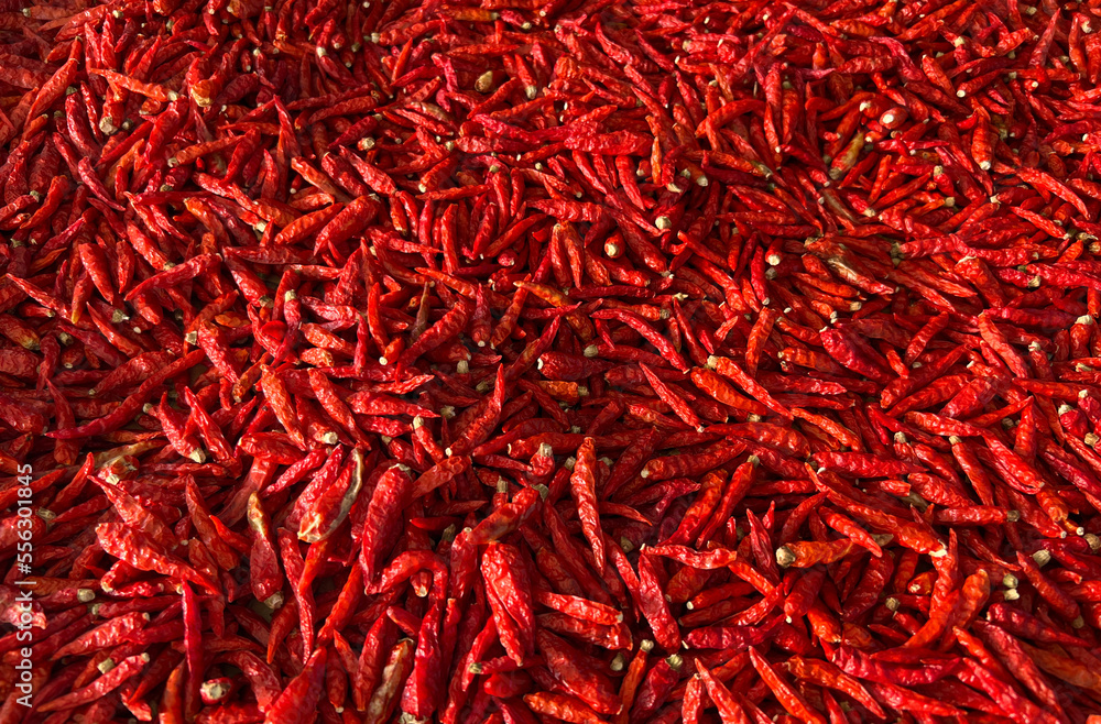 Close up Picture of Red Thai Dry Bird eye Chilli Close up Picture of Red Thai Dry Bird eye Chilli