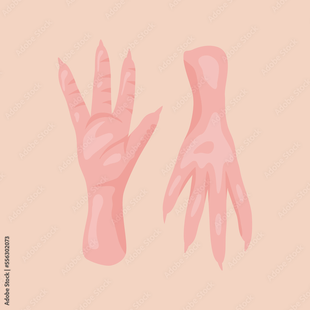 chicken feet illustration chicken feet illustration