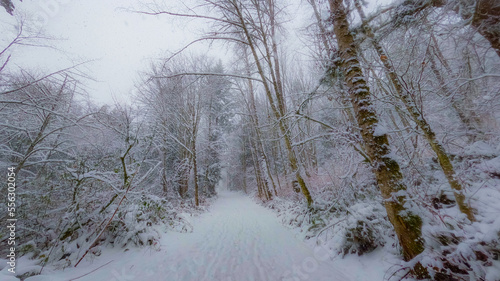Walking in winter. Cougar Mountain Regional Wildland Park, King County, Washington