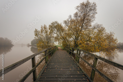 Simple wooden bridge now leads to a hidden destination. It is a foggy morning in the fall season. The leaves of the willow tree have yellowed and some have already fallen on the bridge. photo