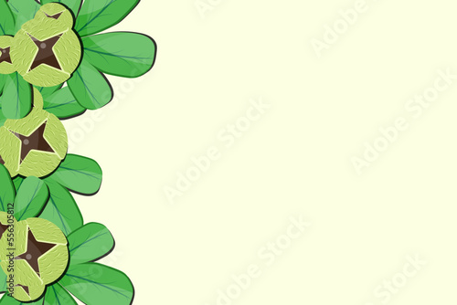 Cracked chestnut with beautiful green leaves and copy space. Website banner. 