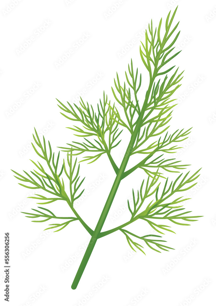 Printsprig of copra Printsprig of copra