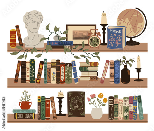 Interior bookshelves. Store shelves with books and vintage elements, poems and dictionaries, short stories and poetry, hand drawn things organization, tidy vector cartoon flat set