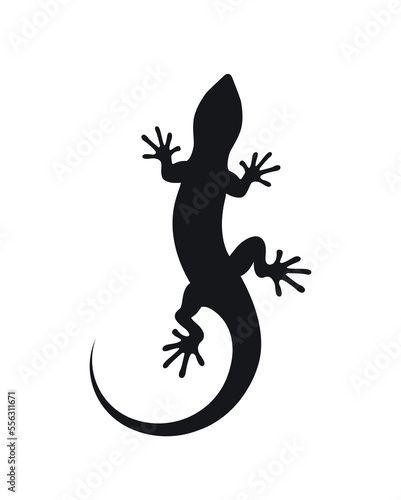 Photo silhouette of a lizard