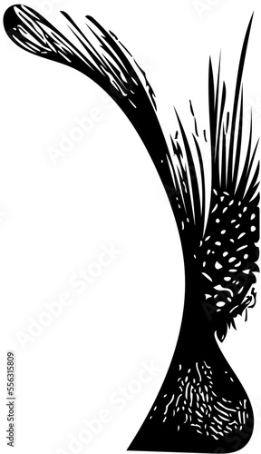 black and white background