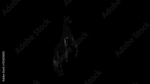 Black Horse Transparent Alpha Animation photo
