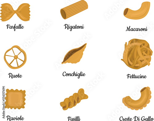 Big set with the different types of Italian pasta vector illustration isolated on white background. Spaghetti, Farfalle, penne, rigatoni, ravioli, fusilli,conchiglie, elbows, fettucine illustration.