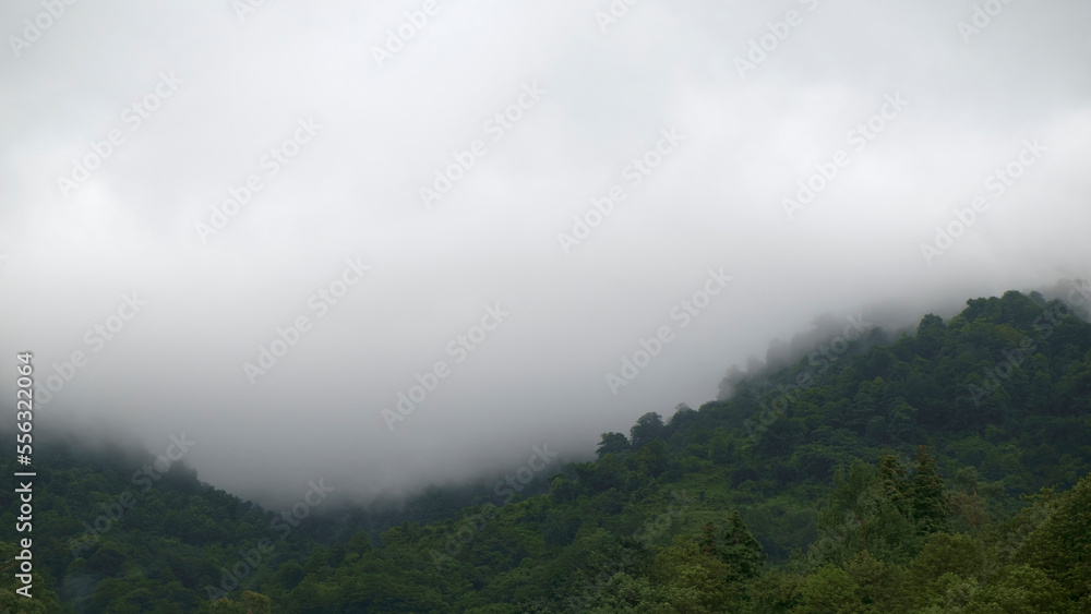 Foggy forest mountain, Moody cloudy, foggy forest during summer Foggy forest mountain, Moody cloudy, foggy forest during summer