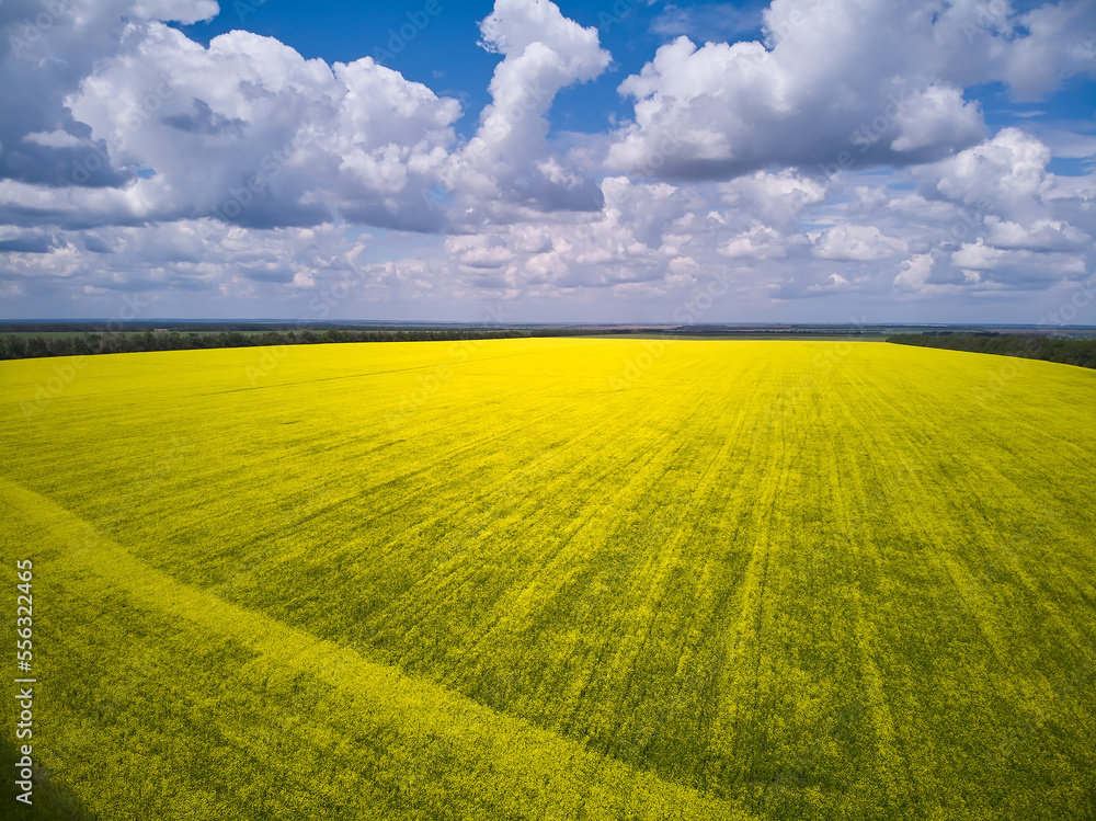 Obraz premium View of the fields and roads from the height of a flying drone.