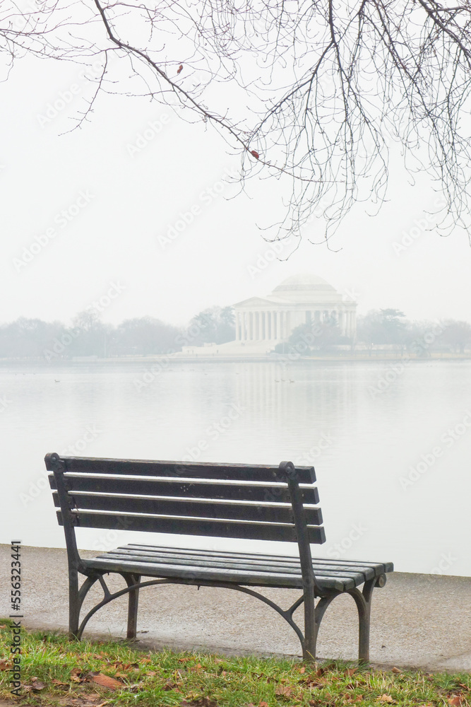 Washington DC in the winter- Jefferson Memorial and  cherry trees at tidal basin in a foggy day - Washington DC United States