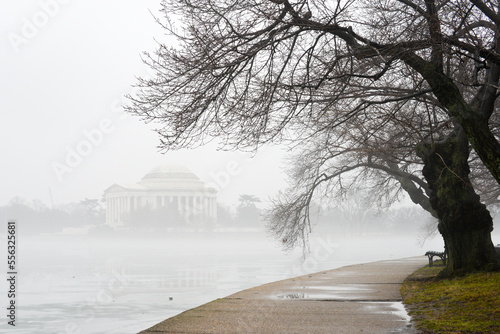 Washington DC in the winter- Jefferson Memorial and cherry trees at tidal basin in a foggy day - Washington DC United States