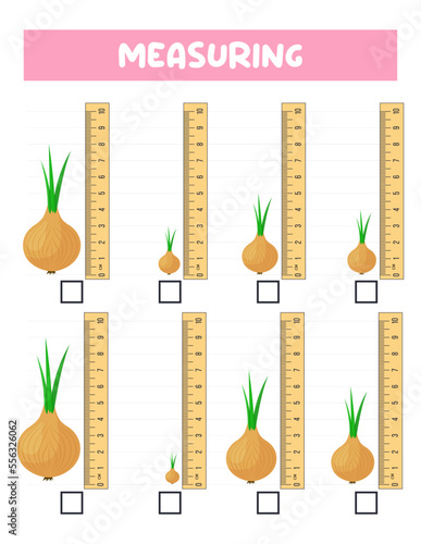 Measuring length  with ruler. Education developing worksheet. Game for kids.Vector illustration. practice sheets.Onion measurement in centimeters.