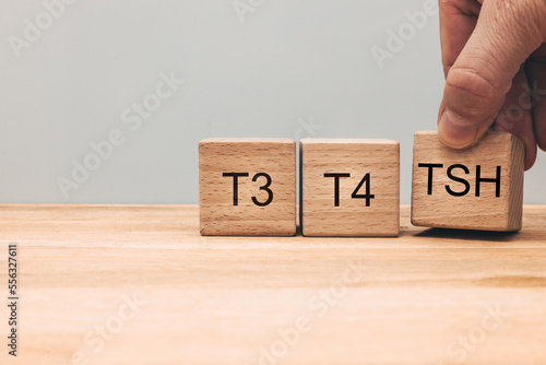 TSH, diagnosis of thyroid diseases, medical examination of t3 and t4, production and secretion of hormones, hypothyroidism or hyperthyroidism, Wooden blocks with text. Regular health examination