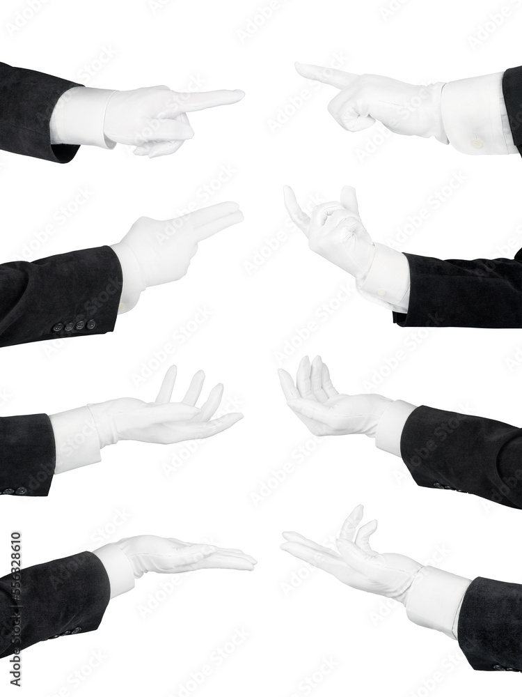 Man hands in white glove and black suit set. Holding, pointing, supporting and offering hands isolated png with transparency