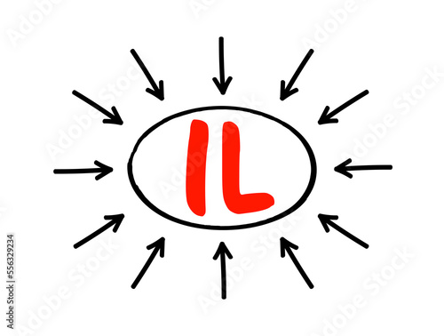 IL Interleukin - group of cytokines that were first seen to be expressed by white blood cells, acronym text concept with arrows