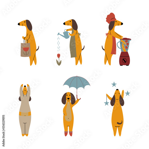 Comic Brown Dachshund Dog Engaged in Different Activity Vector Set