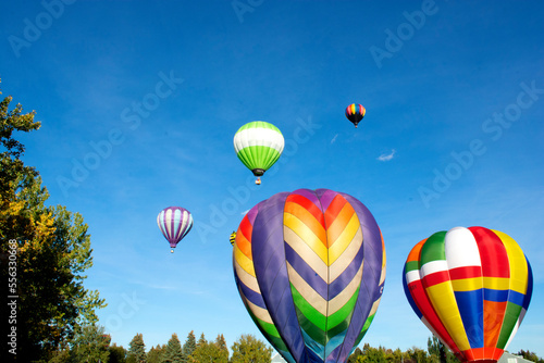 Colourful hot air balloons taking off at festival