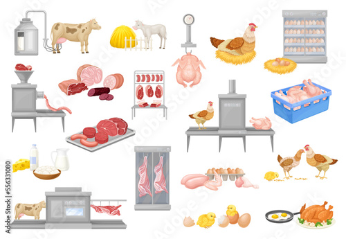 Automated Meat Production Process with Equipment and Beef and Chicken Product Big Vector Set