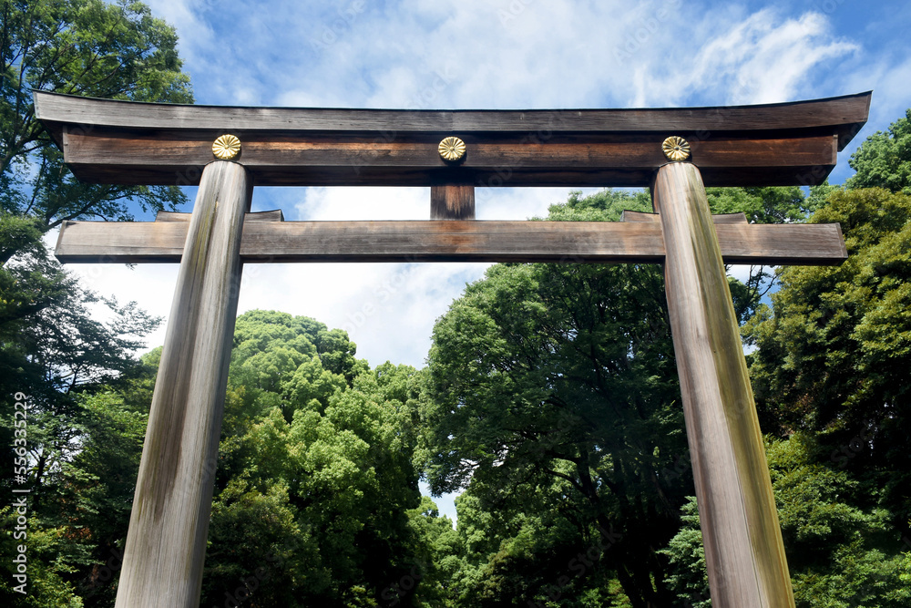 Entry into the grounds of the famous Meiji Shrine in Tokyo is marked by a massive, wooden torii gate Entry into the grounds of the famous Meiji Shrine in Tokyo is marked by a massive, wooden torii gate