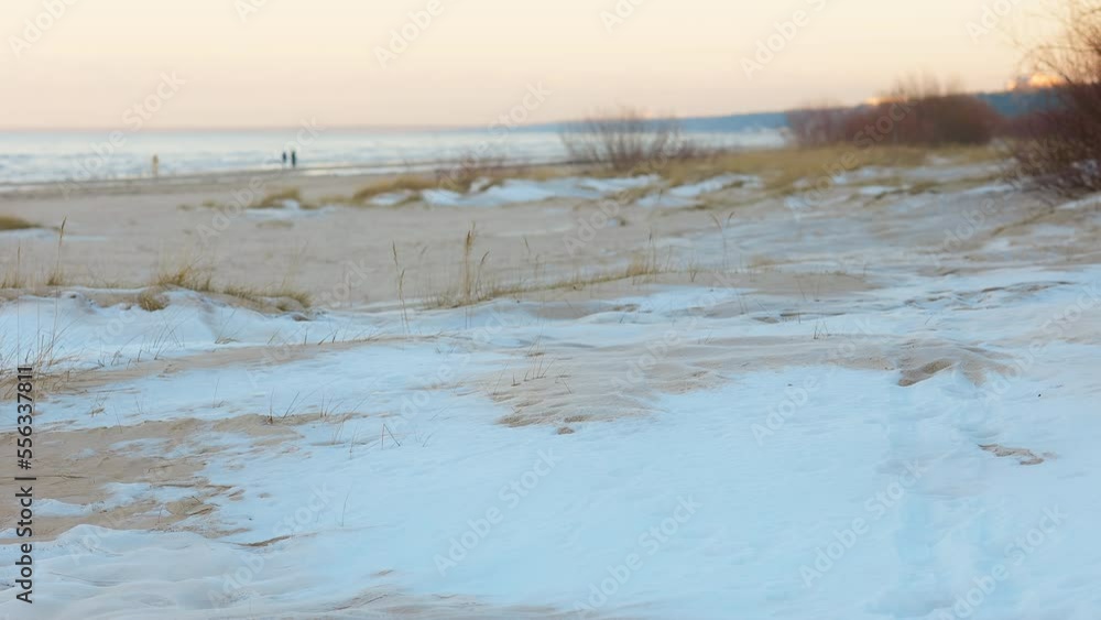 Frozen dunes of the Baltic sea covered in snow with people walking in the background Frozen dunes of the Baltic sea covered in snow with people walking in the background