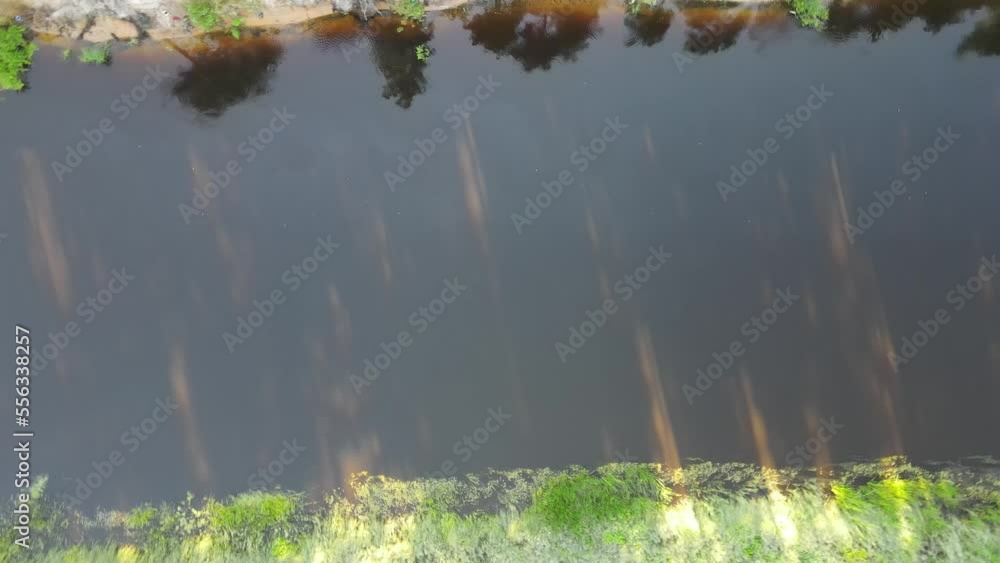 Aerial view of the river and green forests on a summer day. Aerial view of the river and green forests on a summer day.